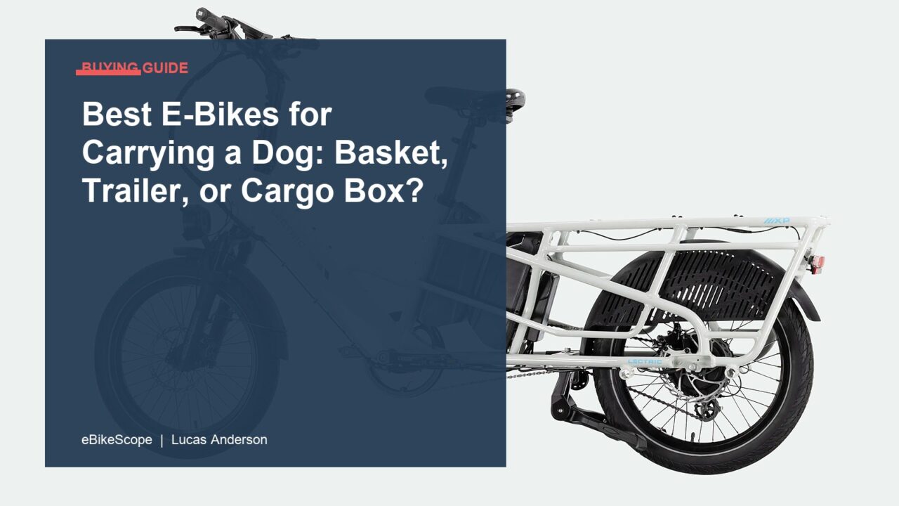 Best E-Bikes for Carrying a Dog: Basket, Trailer, or Cargo Box? featured image