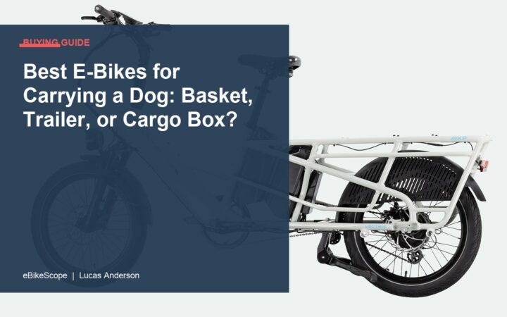Best E-Bikes for Carrying a Dog: Basket, Trailer, or Cargo Box? featured image