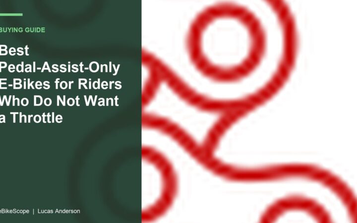 Best Pedal-Assist-Only E-Bikes for Riders Who Do Not Want a Throttle featured image