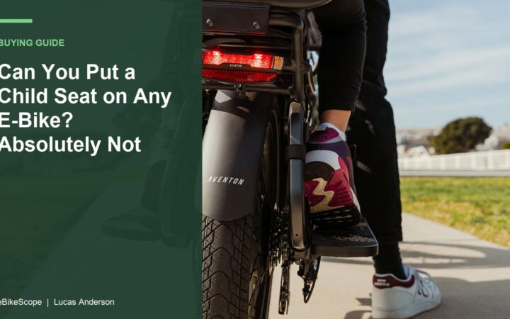 Can You Put a Child Seat on Any E-Bike? Absolutely Not featured image