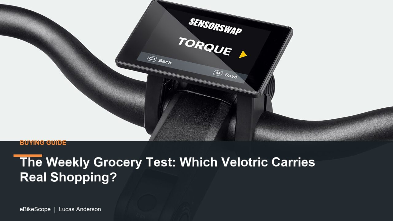 The Weekly Grocery Test: Which Velotric Carries Real Shopping? featured image