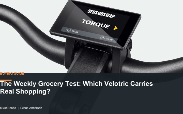 The Weekly Grocery Test: Which Velotric Carries Real Shopping? featured image