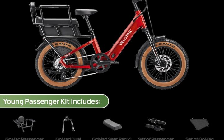 Velotric GoMad Buying Guide: Cargo, Passengers, Range, and Daily Utility featuring an official Velotric product image