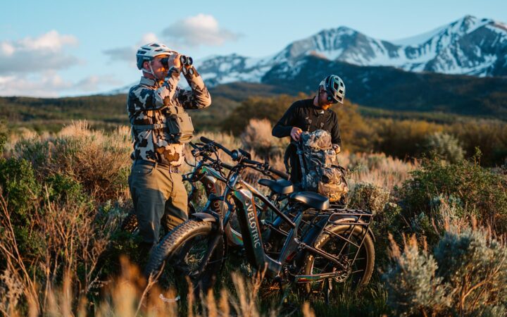 Velotric Nomad 2X vs GoMad: Off-Road Comfort or Cargo Utility? with an official Velotric product image
