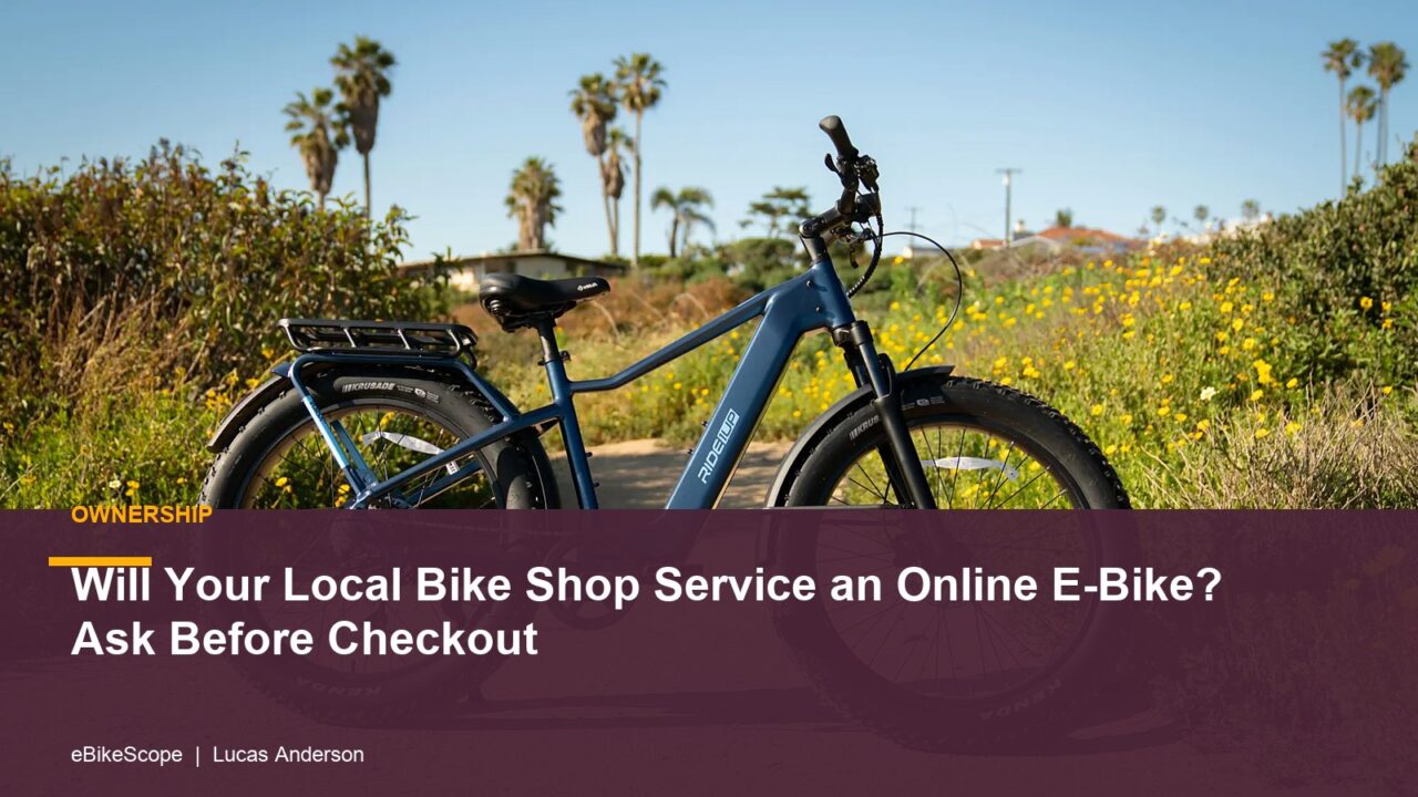 Will Your Local Bike Shop Service an Online E-Bike? Ask Before Checkout featured image