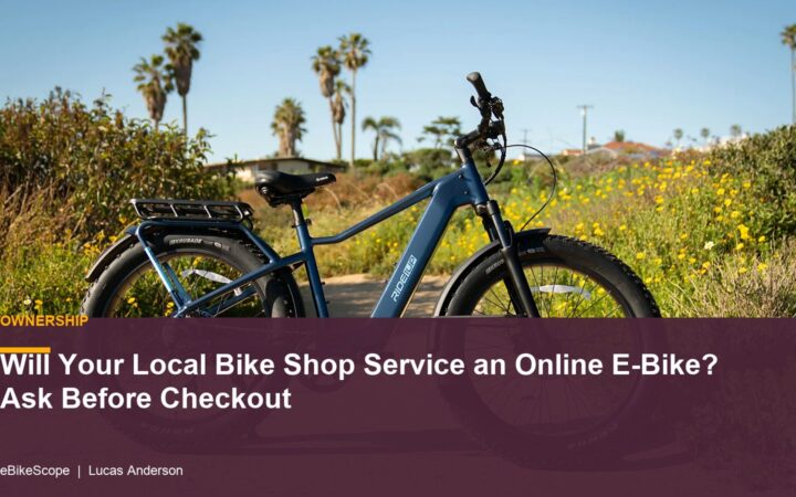 Will Your Local Bike Shop Service an Online E-Bike? Ask Before Checkout featured image